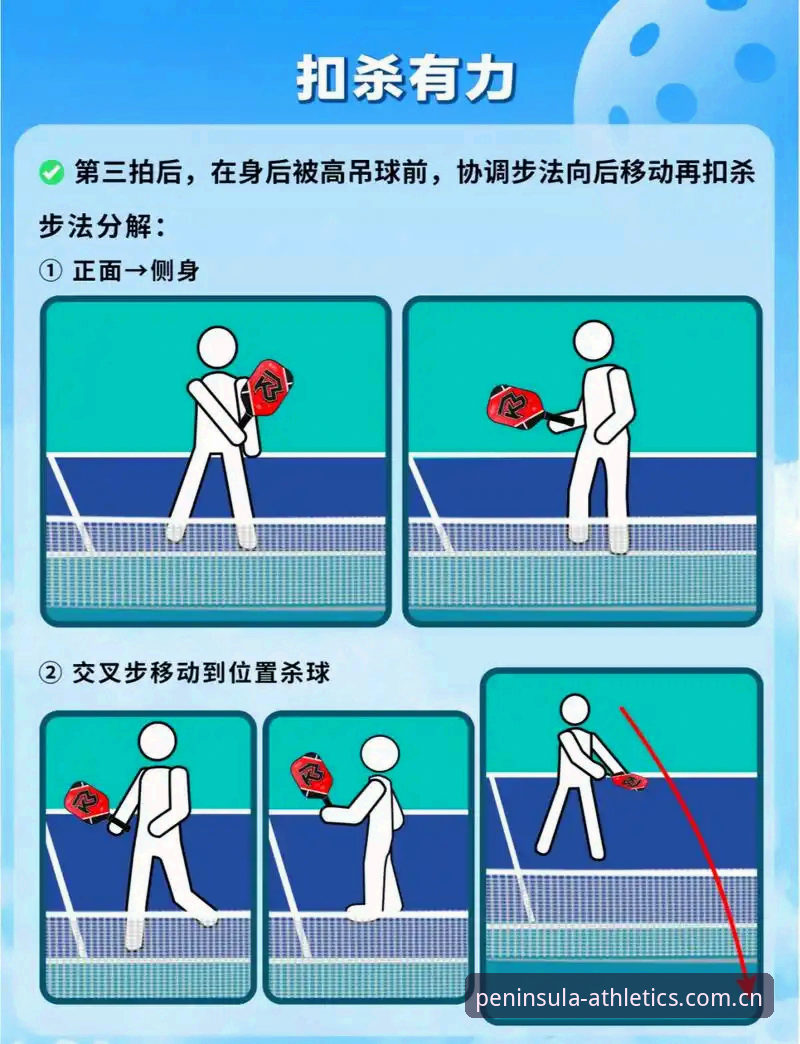 老用户手把手分享：半岛体育新手教程与实战经验